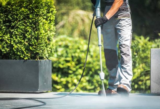 Best Solar Panel Cleaning  in Memphis, TX